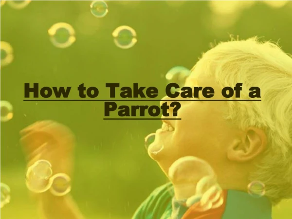 Parrot Caring Tips - Family Parrot Bird