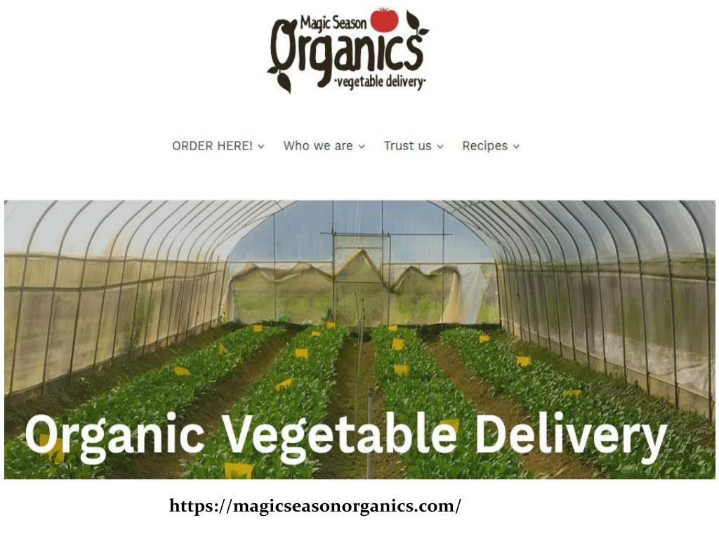 https magicseasonorganics com