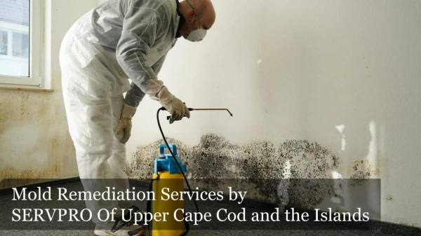 Mold Remediation Cape Cod