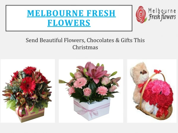 Buy Beautiful Flowers, Chocolates & Gifts This Christmas – Melbourne Fresh Flowers