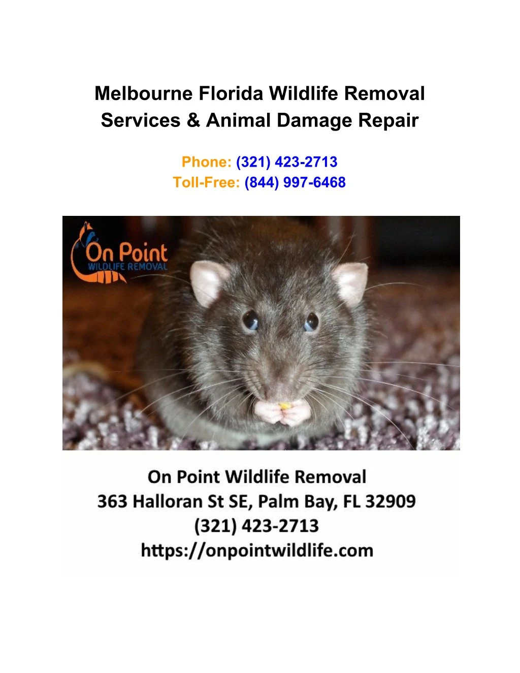 melbourne florida wildlife removal services