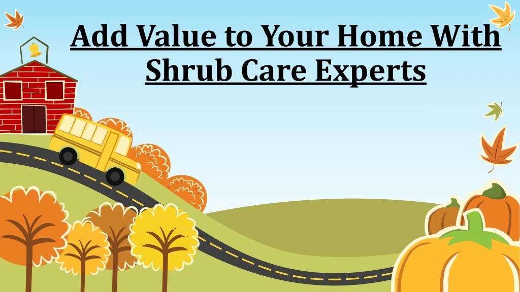 add value to your home with shrub care experts