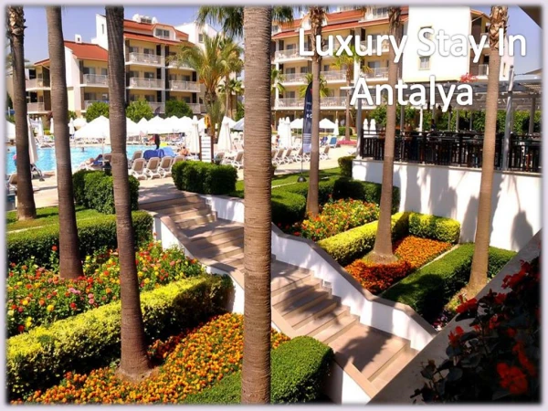 Luxury Stay In Antalya