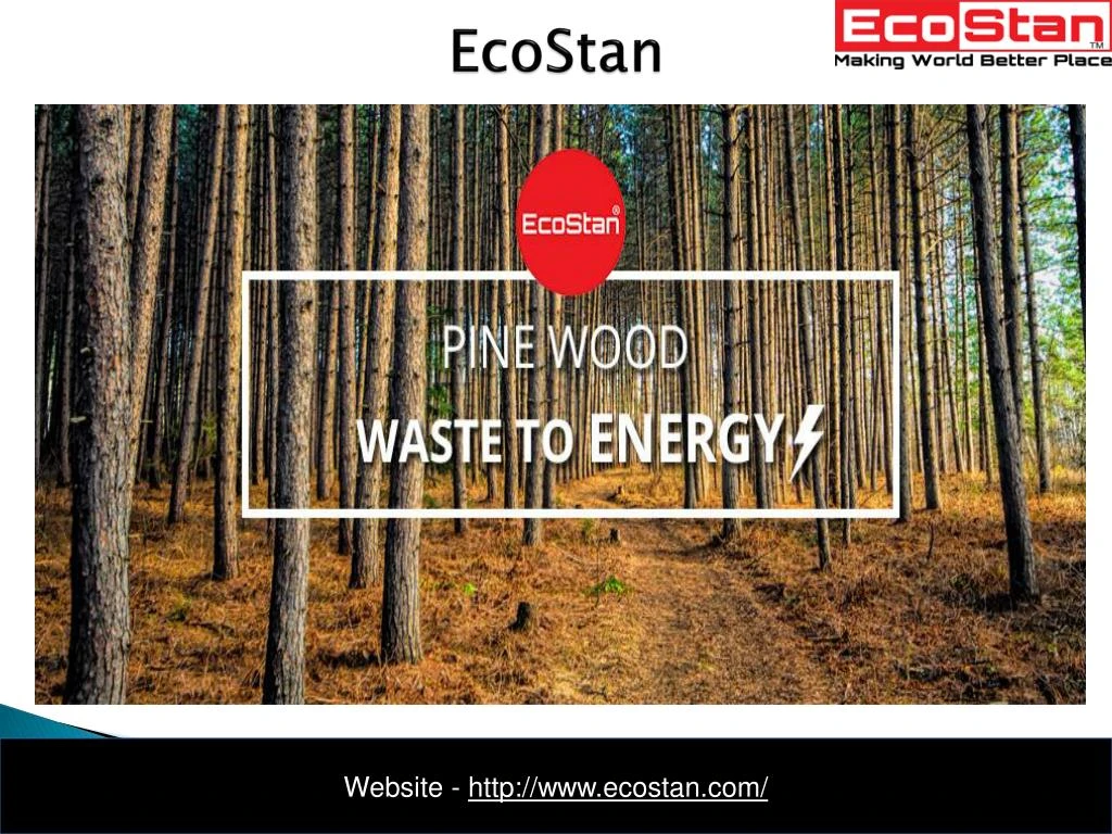 ecostan