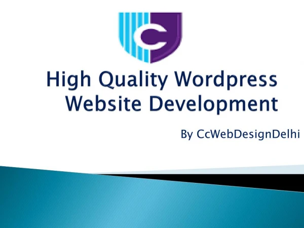High Quality Word Press Website Development Company in Delhi