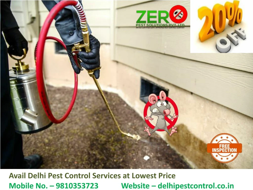 avail delhi pest control services at lowest price