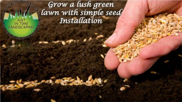 Grow a lush green lawn with simple seed Installation