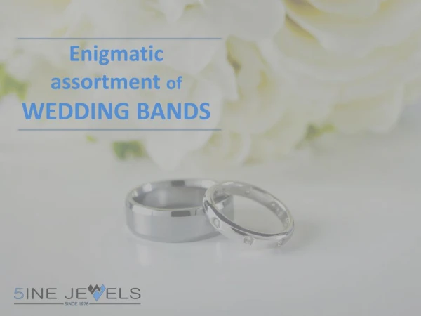 Enigmatic assortment of wedding bands