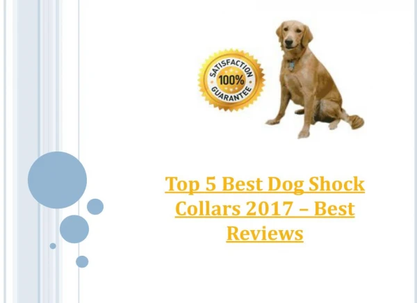 Top 5 Best Dog Shock Collars 2017 – Best Reviews