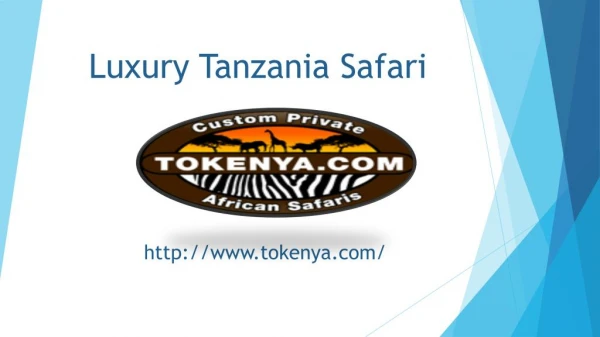 Luxury Tanzania Safari - Tokenya
