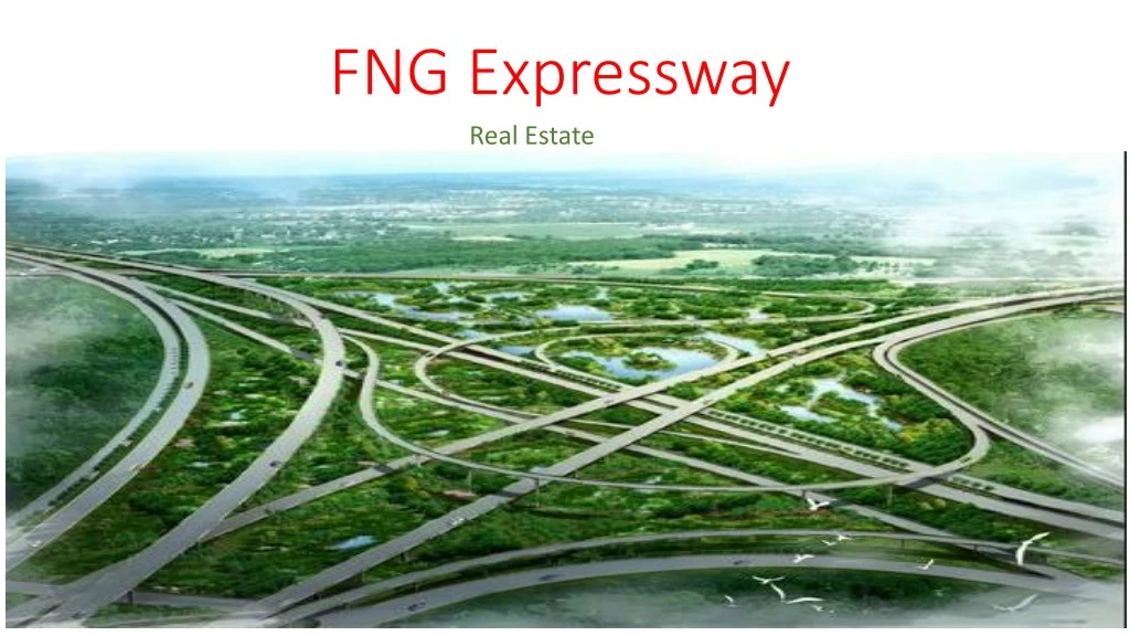 fng expressway real estate