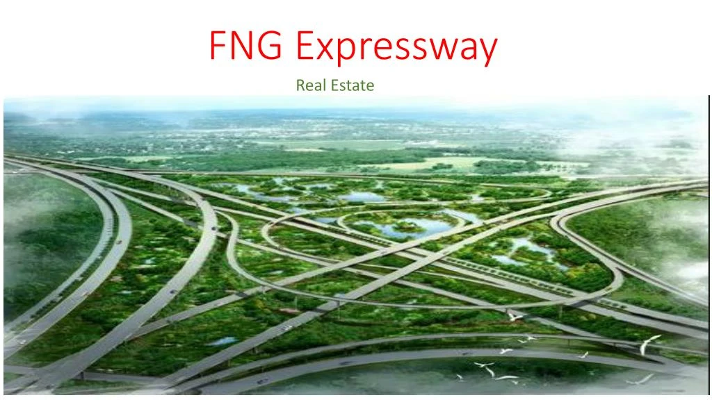 fng expressway