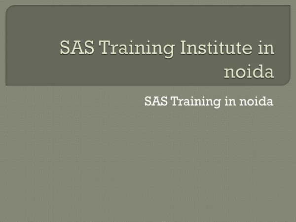 SAS Training Institute in noida
