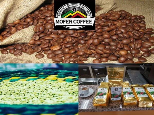 Buy Ethiopian Coffee