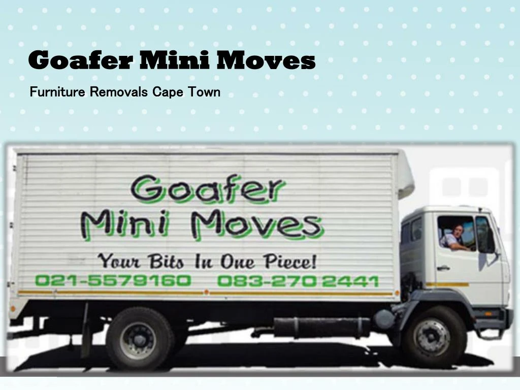 goafer mini moves
