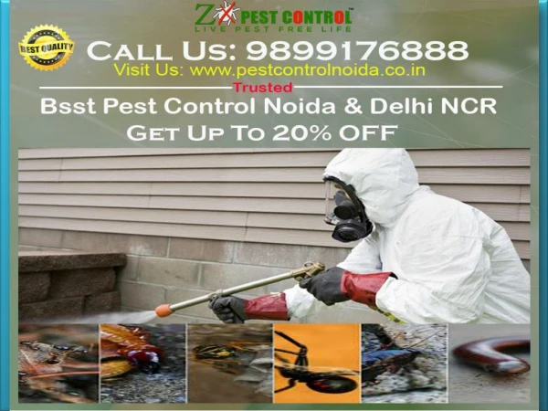Let’s Get Affordable Budget in Our Pest Control Noida | Get Up To 20% OFF