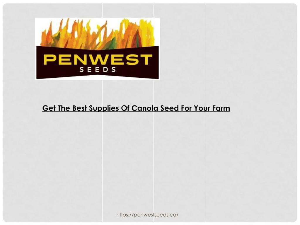 get the best supplies of canola seed for your farm