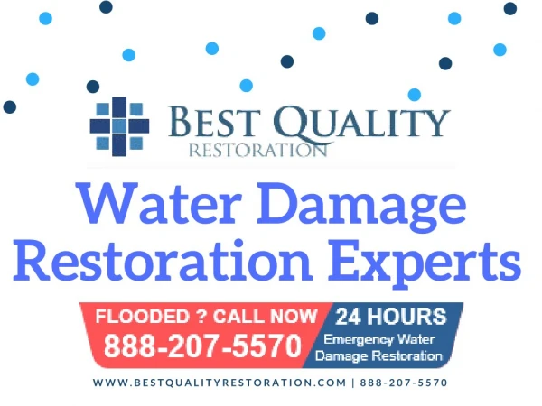 Water Damage Restoration Expert
