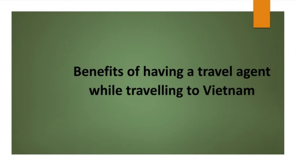Benefits of having a travel agent while travelling to Vietnam