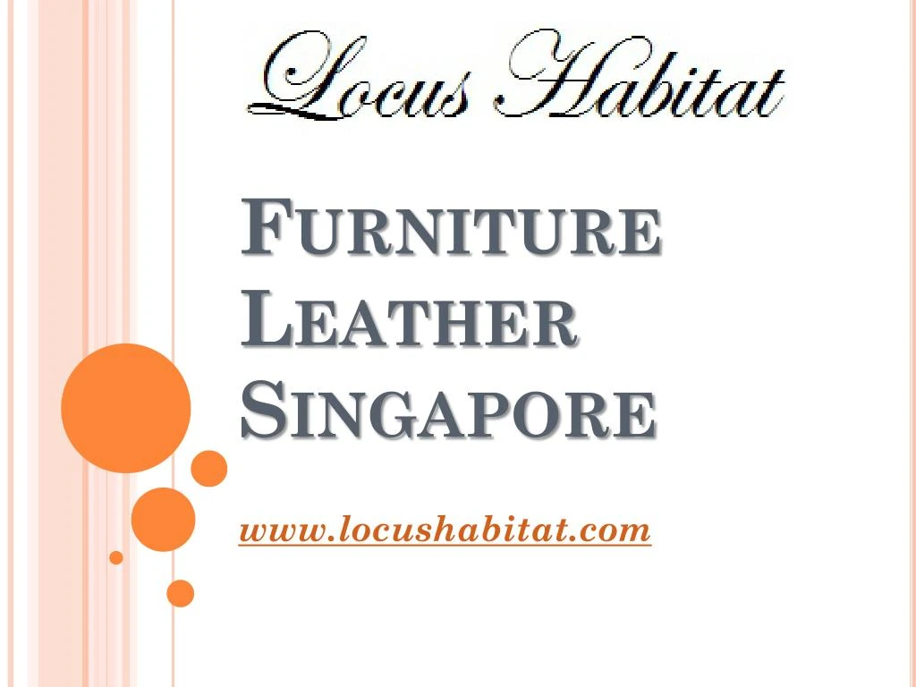 furniture leather singapore