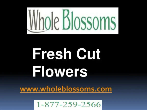 Fresh Cut Flowers - www.wholeblossoms.com