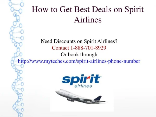 How To Contact Spirit Airlines Booking Phone Number?