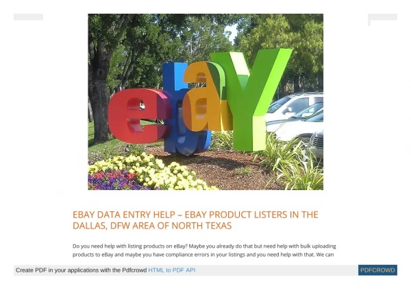 Ebay Data Entry help