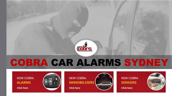Choose Cobra Security Products for Your Car Safety