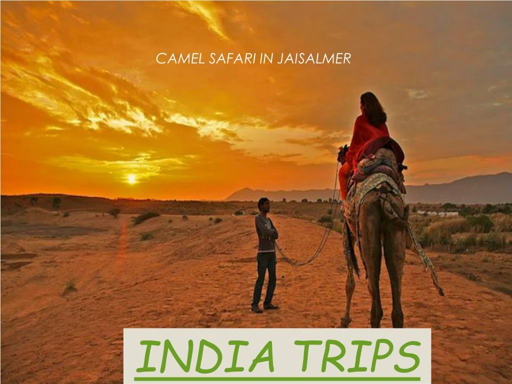 india trips