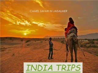 INDIA TRIPS | TRIPS TO INDIA