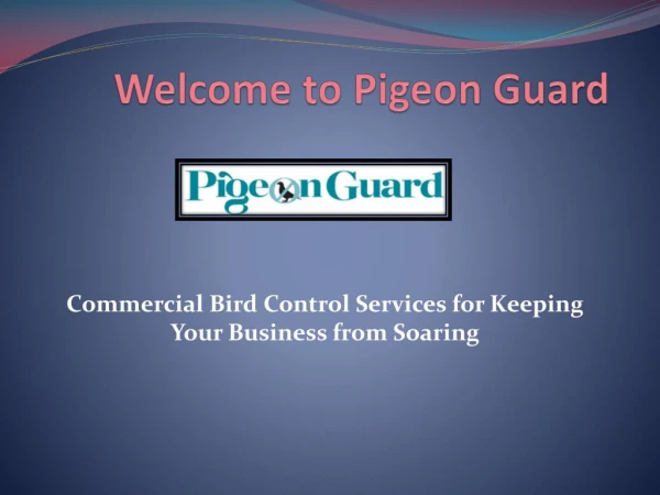 Bird Netting Suppliers By pigeonguard.com