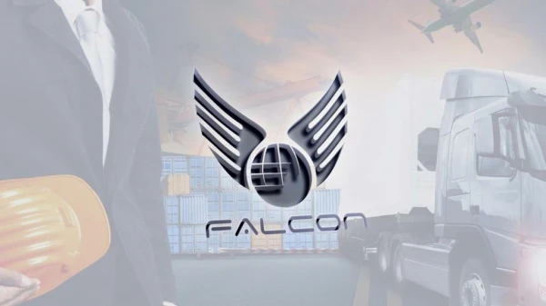 Falcon Freight PVT.LTD custom clearing agent, import consultant