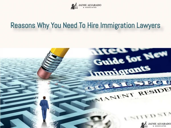 Reasons Why You Need To Hire Immigration Lawyers