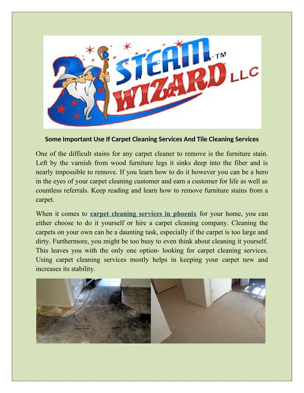 some important use if carpet cleaning services