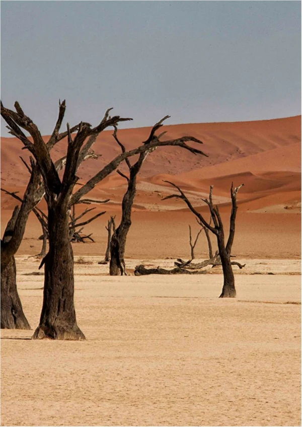 Ultimate Namibia 15 Days 14 Nights