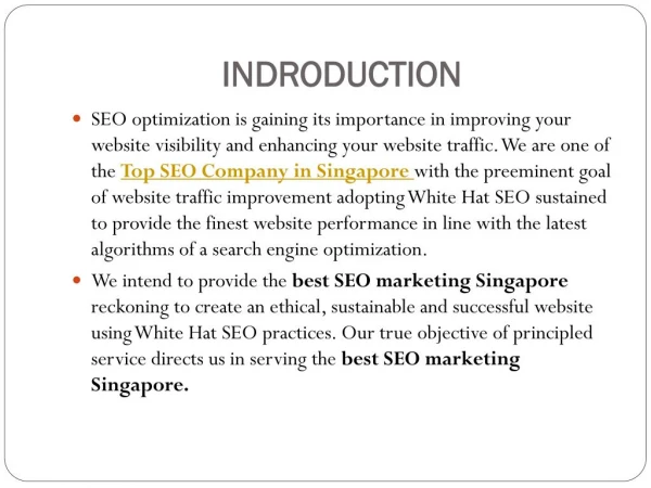 The SEO Consultant In Singapore
