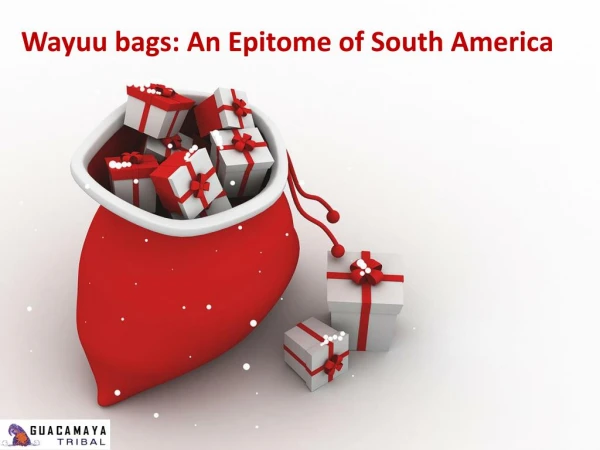 Wayuu bags: An Epitome of South America