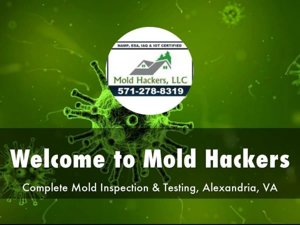 Detail Presentation About Mold Hackers