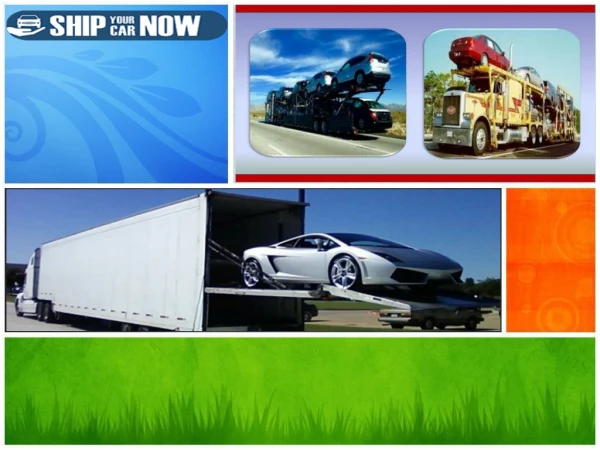 Best Reviewed of Vehicle Shipping Transportation