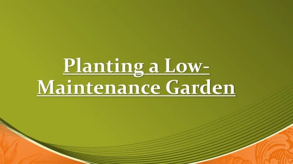 Gravel Garden - Low Maintenance Garden