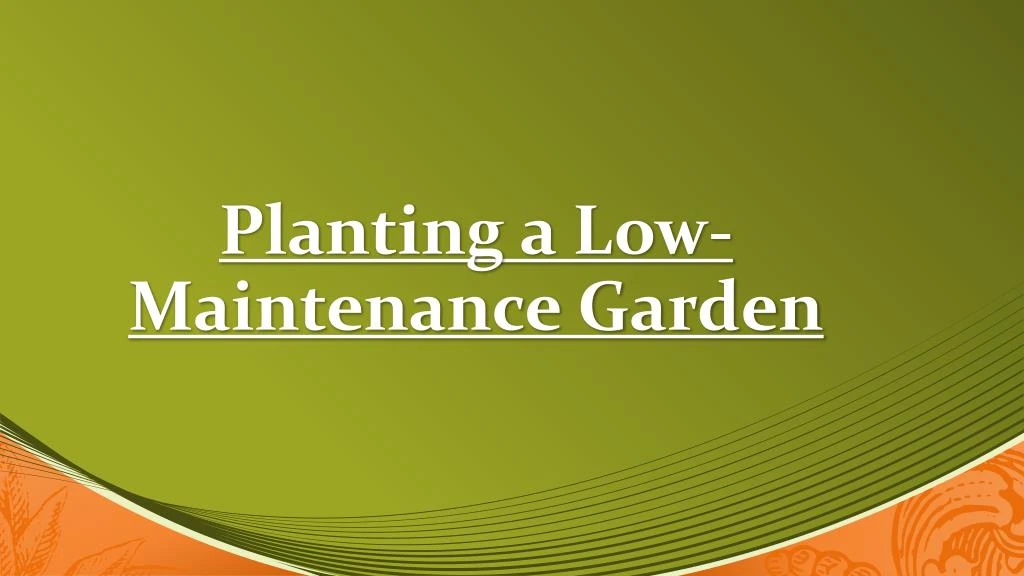 planting a low maintenance garden