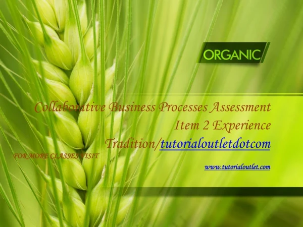 Collaborative Business Processes Assessment Item 2 Experience Tradition/tutorialoutletdotcom
