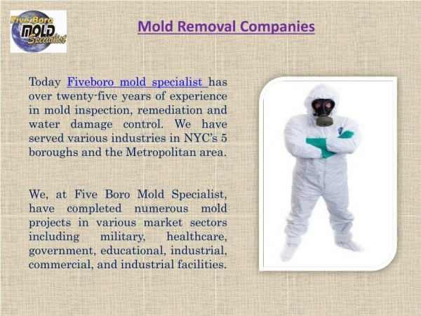 Sources of mold