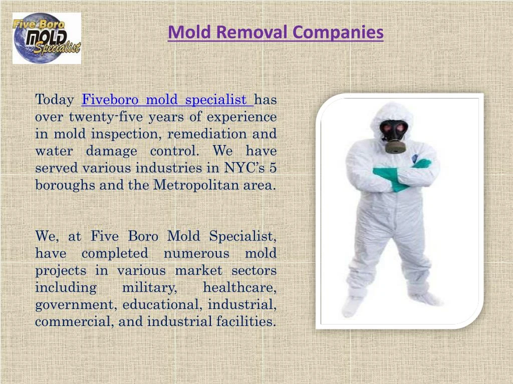 mold removal companies