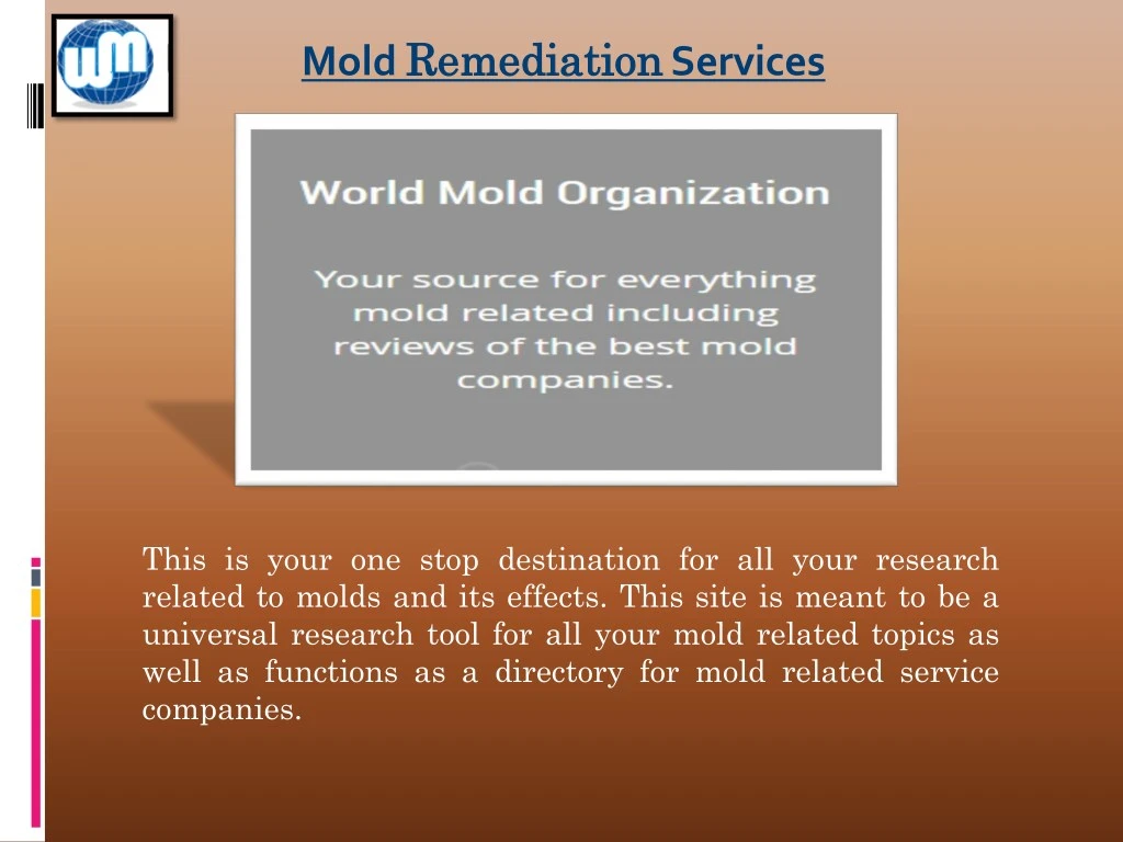 mold remediation remediation services