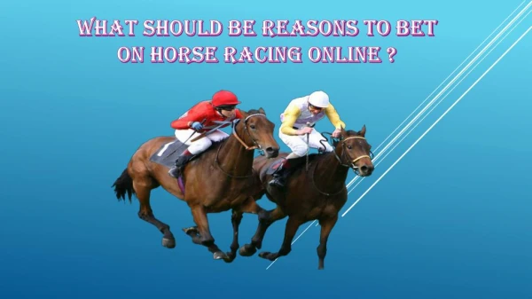 What Should Be Reasons to Bet On Horse Racing Online ?
