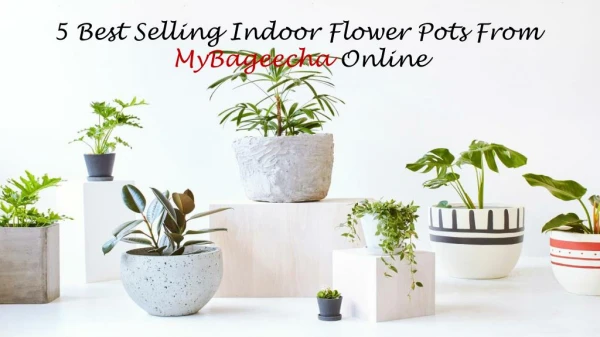 5 Best Selling Indoor Flower Pots From MyBageecha Online
