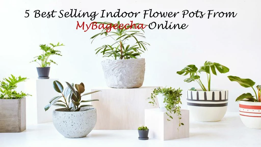 5 best selling indoor flower pots from mybageecha