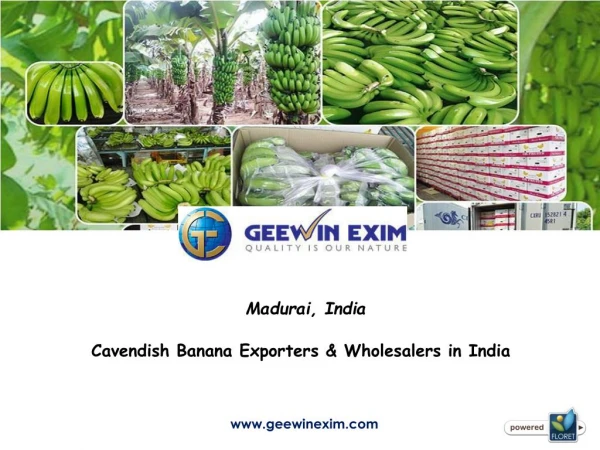 Cavendish Banana Exporters in India