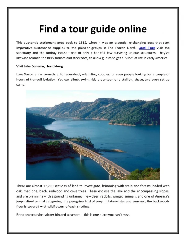 Find a tour guide online